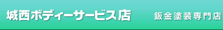 �鐼�{�f�B�[�T�[�r�X